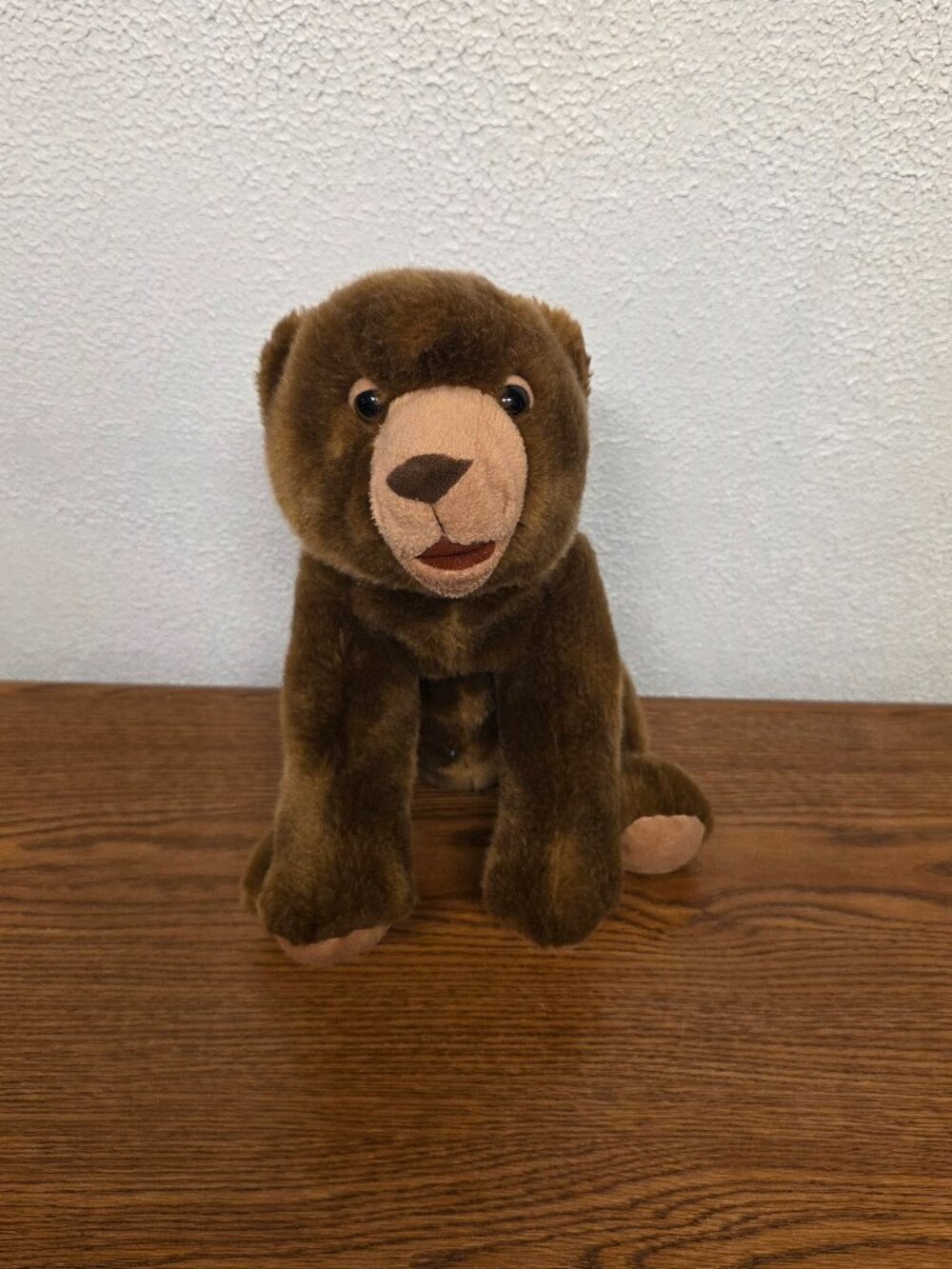 Plush 2008 Eric Carle Brown Bear 12" Stuffed Animal by Kohl's Cares